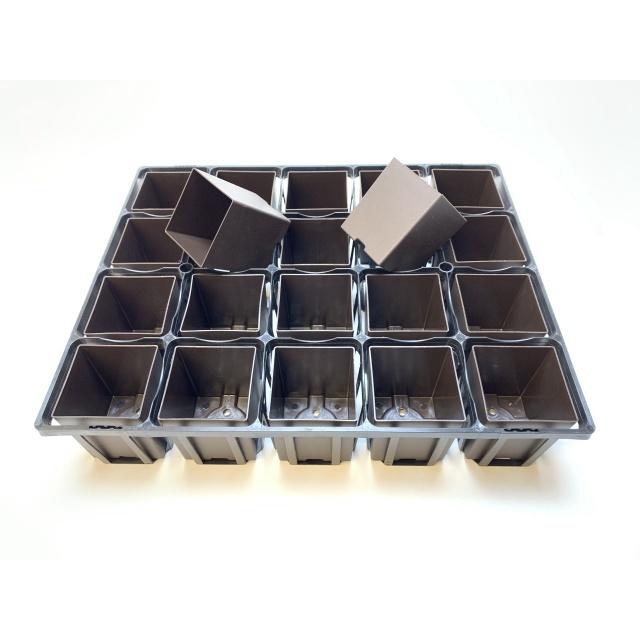 7.5cmポットや2号鉢用四角型枠トレイ：ハーフ標準型[H6.4cm]-20鉢用＋