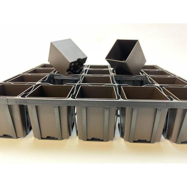 7.5cmポットや2号鉢用四角型枠トレイ：ハーフ標準型[H6.4cm]-20鉢用＋