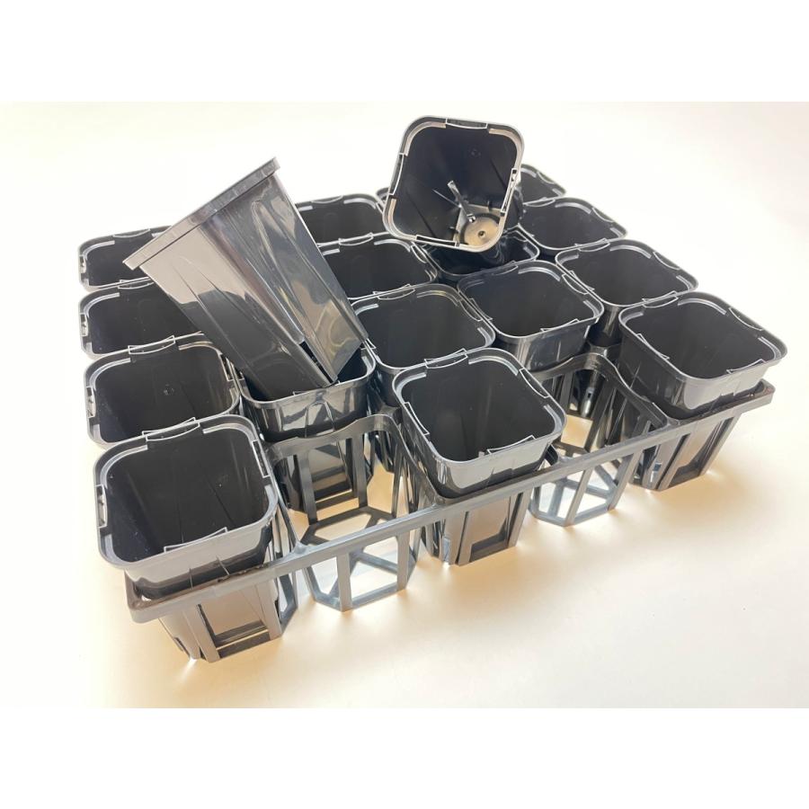 たっぷり楽しめる7種類(14箱)のバラエティ−セット(2箱x7種類のフレーバー) fseguchi_fse-6ty25-s17w