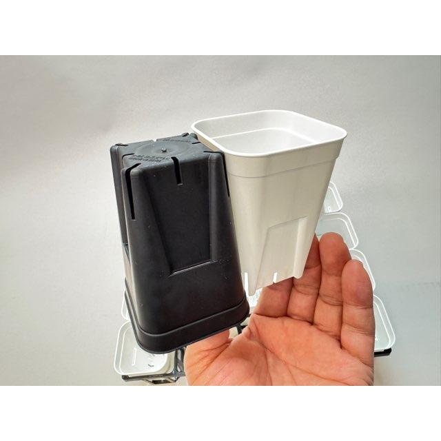7.5cmポットや2号鉢用四角型枠トレイ：ハーフ標準型[H6.4cm]-20鉢用＋
