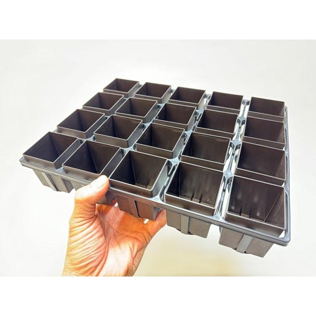 7.5cmポットや2号鉢用四角型枠トレイ：ハーフ浅型[H5.5cm]-20鉢