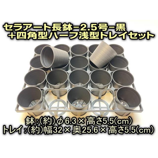 7.5cmポットや2号鉢用四角型枠トレイ：ハーフ浅型[H5.5cm]-20鉢用＋