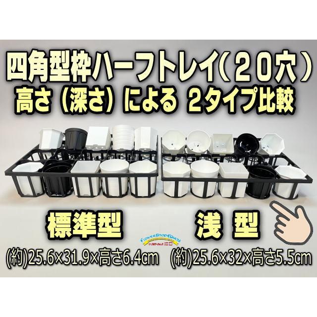 7.5cmポットや2号鉢用四角型枠トレイ：ハーフ浅型[H5.5cm]-20鉢用＋