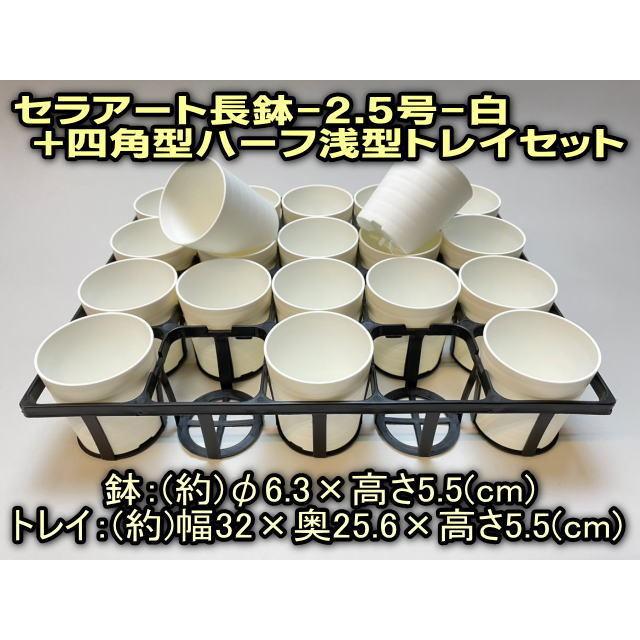 7.5cmポットや2号鉢用四角型枠トレイ：ハーフ浅型[H5.5cm]-20鉢用＋