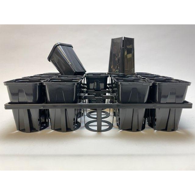 ✳︎SEdragonグレーベージュ28cm 10枚と黒盆皿7枚セット 青藍