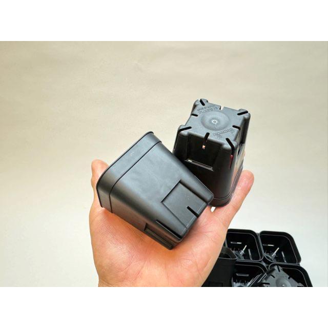 7.5cmポットや2号鉢用四角型枠トレイ：ハーフ浅型[H5.5cm]-20鉢用＋