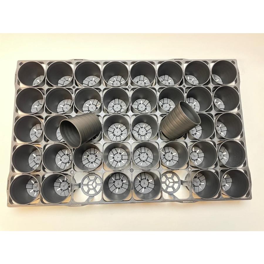 7.5cmポットや2号鉢用四角型枠トレイ(大)-40鉢用＋陶器風プラ鉢