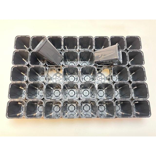 7.5cmポットや2号鉢用四角型枠トレイ(大)-40鉢用+スリット深鉢 7.5cmポットや2号鉢用四角型枠トレイ(大)-40鉢用+スリット深鉢