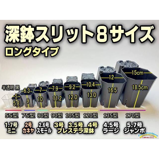 7.5cmポットや2号鉢用四角型枠トレイ(大)-40鉢用＋プレステラ75-(硬質