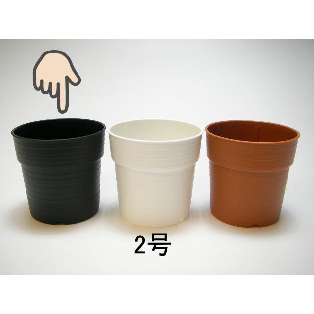 プレステラ90対応：四角型枠黒トレイハーフ＋テラコッタ鉢型風プラ鉢-2