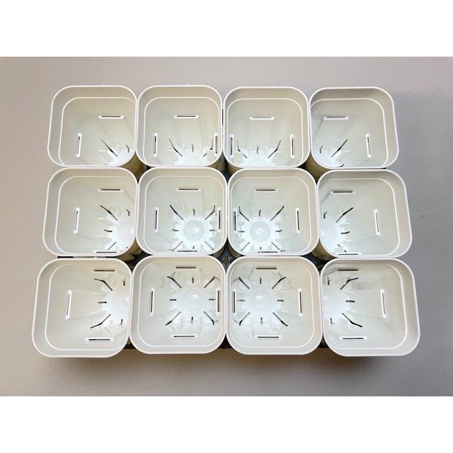 プレステラ90対応：四角型枠黒トレイハーフ＋プレステラ深鉢 90-白