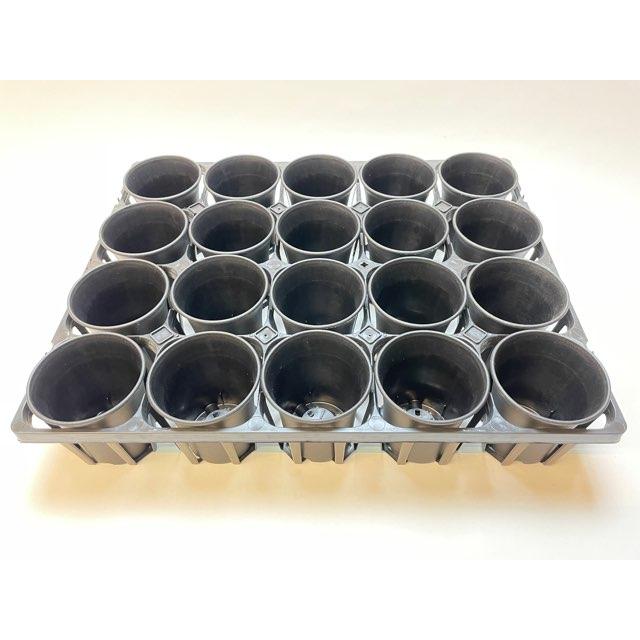 【ご予約品】 プレステラ105対応：四角型枠黒トレイ大＋厚手のプラ鉢-スマート 鉢・プランター