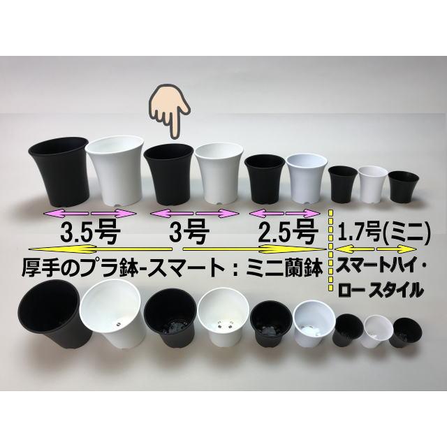 プレステラ105対応：四角型枠黒トレイ大＋厚手のプラ鉢-スマート3号-黒