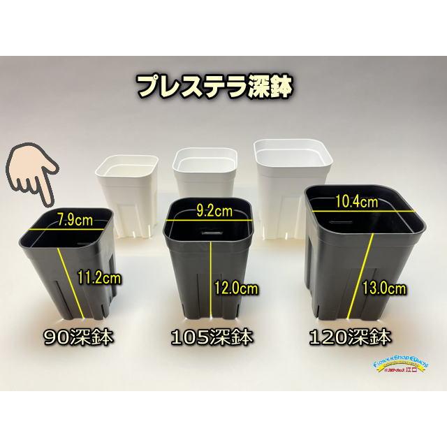 プレステラ90対応：四角型枠黒トレイ大＋プレステラ深鉢90-黒☆(トレイ