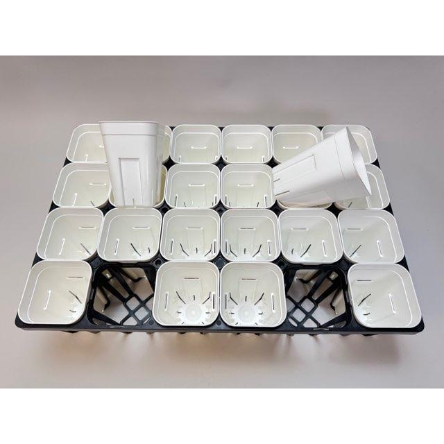 プレステラ深鉢専用☆-90対応四角枠トレイ：24鉢用(黒)＋プレステラ深