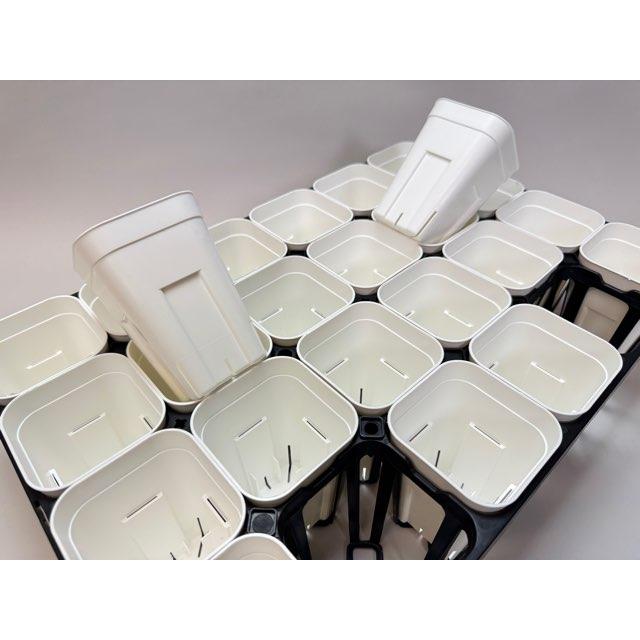プレステラ深鉢専用☆-90対応四角枠トレイ：24鉢用(黒)＋プレステラ深
