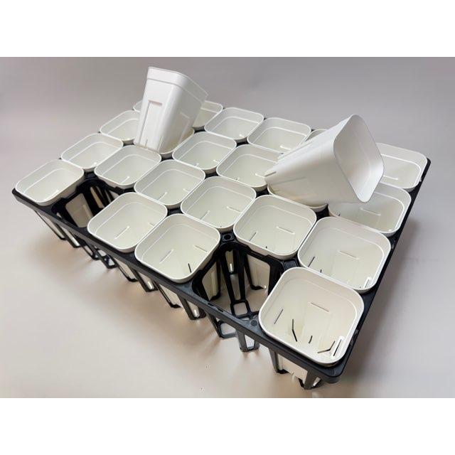プレステラ深鉢専用☆-90対応四角枠トレイ：24鉢用(黒)＋プレステラ深