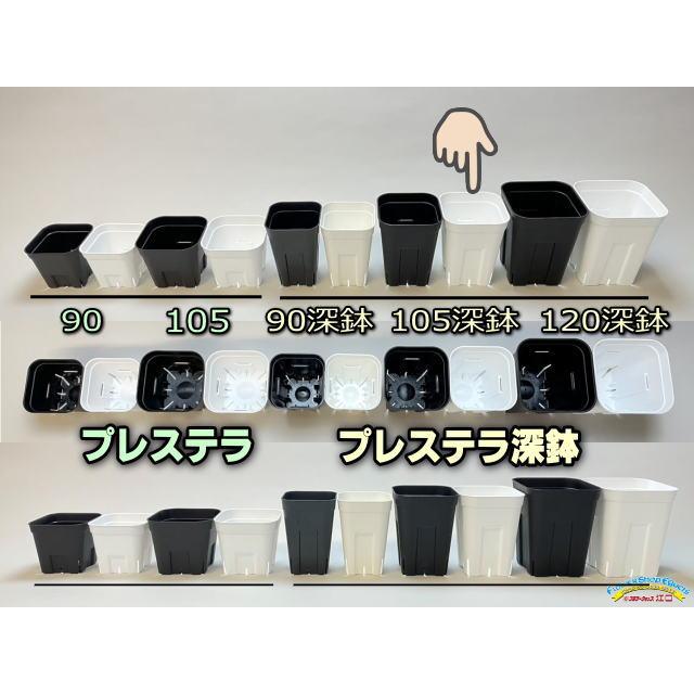 プレステラ90 105 120 深鉢 + トレー / まとめ売り プレステラ105対応：四角型枠白トレイ大＋プレステラ深鉢105-白