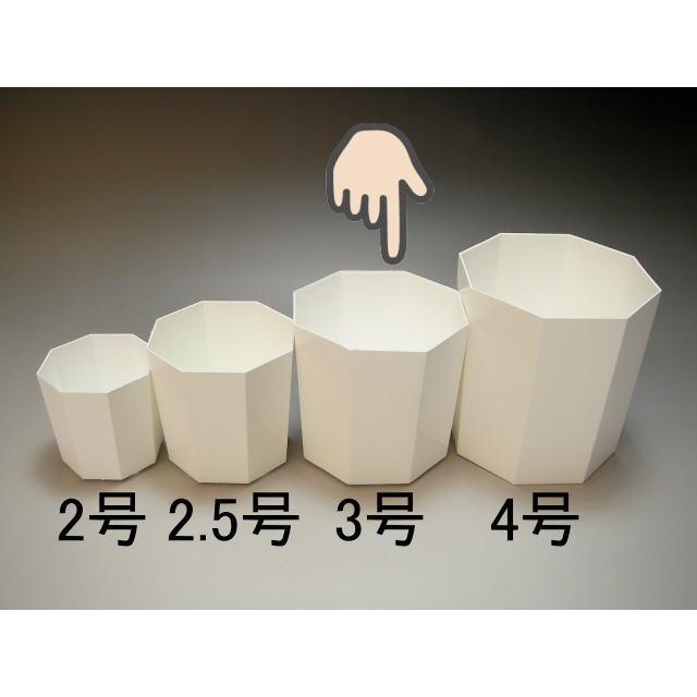 プレステラ深鉢-120対応四角枠トレイ＋八角縁切立白プラ鉢-3号-中(3Y