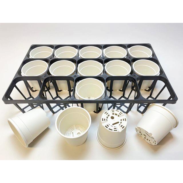プレステラ深鉢-120対応四角枠トレイ＋生産者仕様[カントー]プラ鉢A-35