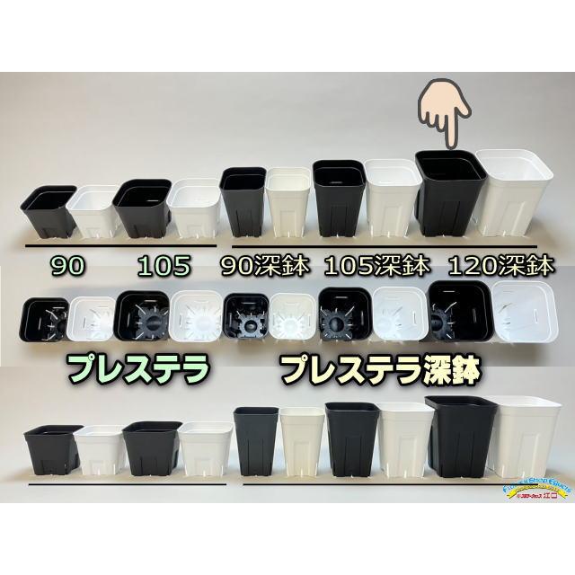 02 確認用　プレステラ120サイズ プレステラ深鉢 黒（ブラック） 120 スリット入りプラ鉢