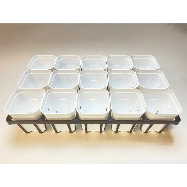 プレステラ深鉢-120対応四角枠トレイ＋プレステラ120-白(トレイ1枚＋15