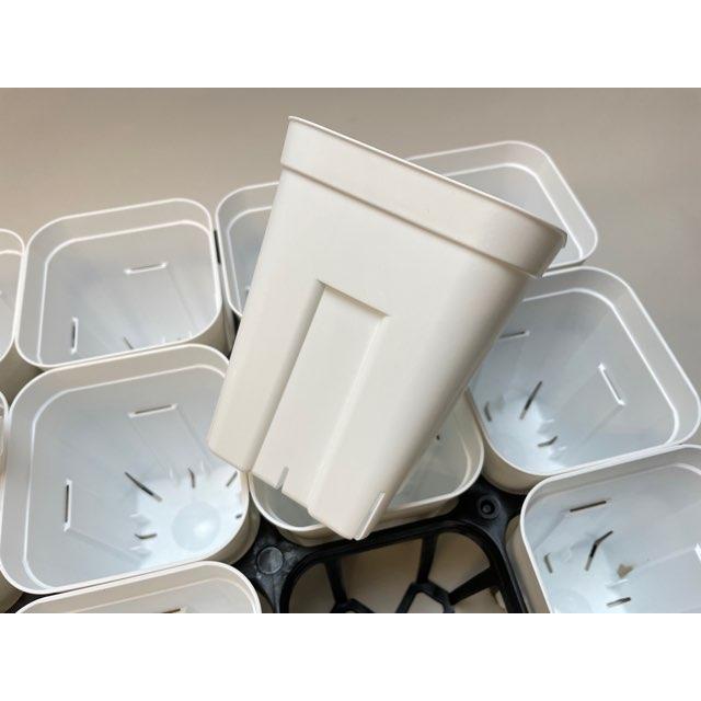 プレステラ深鉢-120対応四角枠トレイ＋プレステラ120-白(トレイ1枚＋15