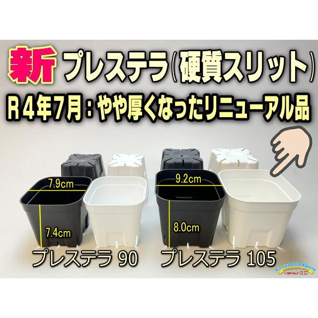 新]プレステラ105対応：四角型枠白トレイ大＋(新)プレステラ105-白〇