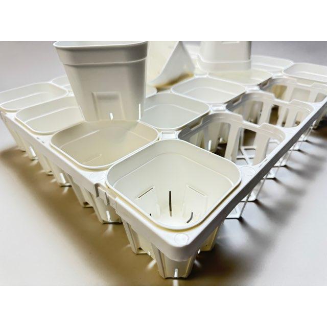 新]プレステラ105対応：四角型枠白トレイ大＋(新)プレステラ105-白〇