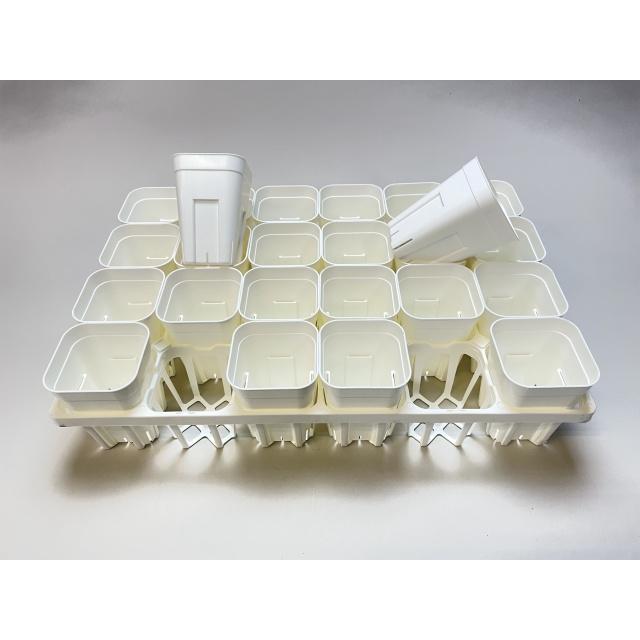 プレステラ90対応：四角型枠白トレイ大＋プレステラ深鉢90-白☆(トレイ