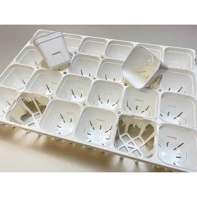 新]プレステラ90対応：四角型枠白トレイ大＋(新)プレステラ90-白