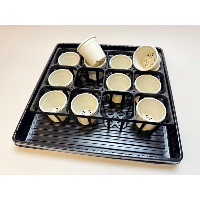 イマン 水差しとトレー イマン 水差しとトレー イマン 水差しとトレー イマン 水差しと