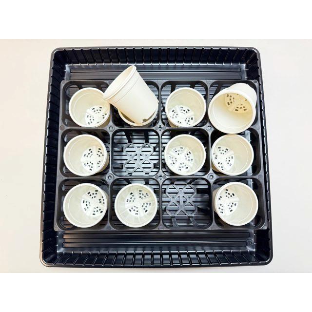 底面給水トレイ：外寸縦39.5cm×横39.5cm※腰水・水耕栽培・マルチトレー