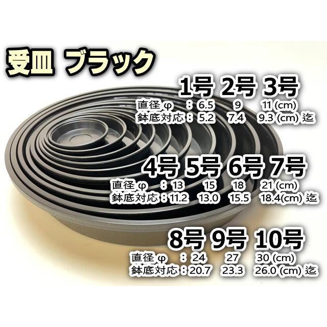 厚手のプラ鉢-ふっくら3号-黒＊U-30(QBRAND)＠多肉植物・塊根植物