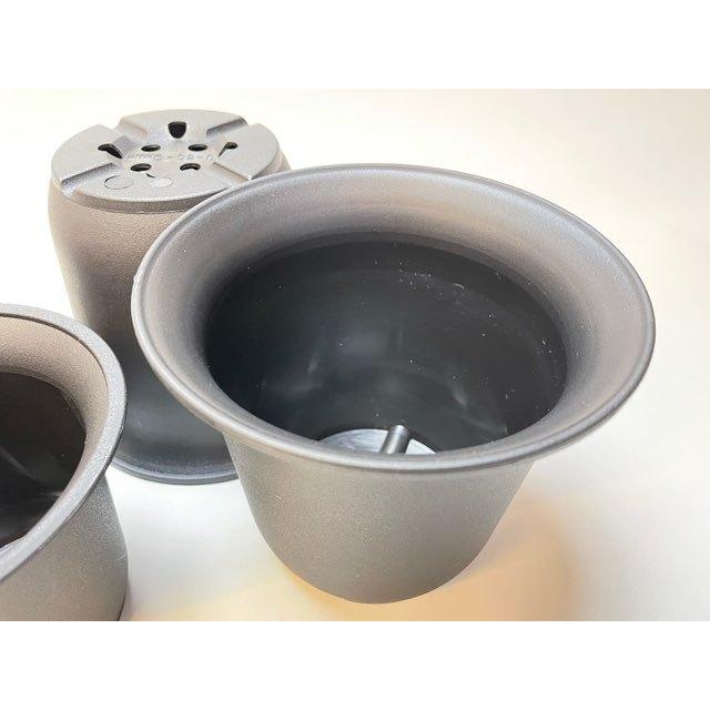 厚手のプラ鉢-ふっくら5号-黒＊U-50(QBRAND)＠多肉植物・塊根植物