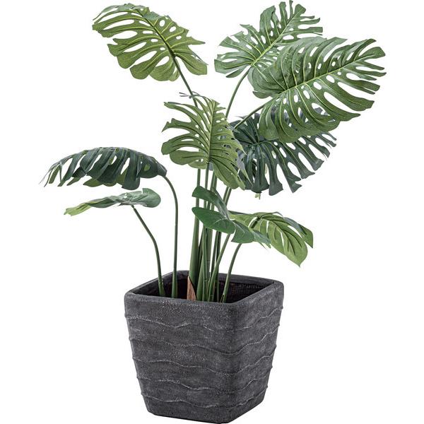 フェイクグリーン モンステラ 人工観葉植物 GRN-11 |  | 03