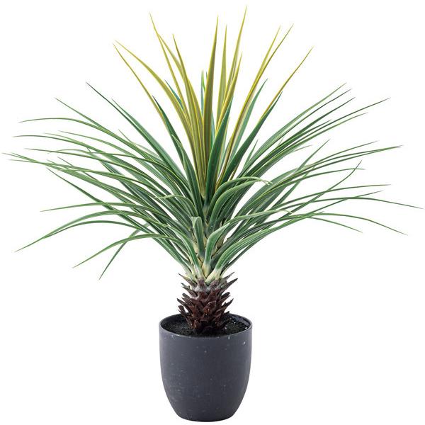 フェイクグリーン ミニパイナップル 人工観葉植物 GRN-12 |  | 02