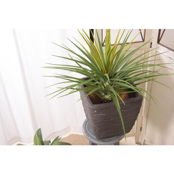 フェイクグリーン ミニパイナップル 人工観葉植物 GRN-12 |  | 05