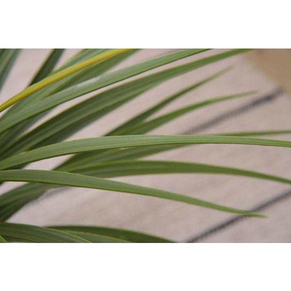 フェイクグリーン ミニパイナップル 人工観葉植物 GRN-12 |  | 07