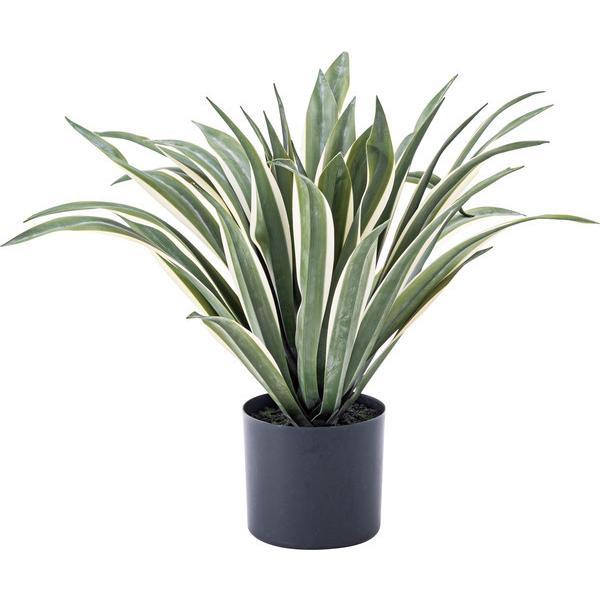フェイクグリーン アガベ 人工観葉植物 GRN-13 |  | 02