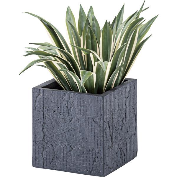 フェイクグリーン アガベ 人工観葉植物 GRN-13 |  | 03