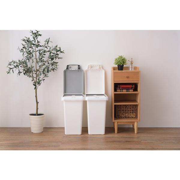 ダストボックス 抗菌ペール　防臭　45JS RSD-75GY |  | 01