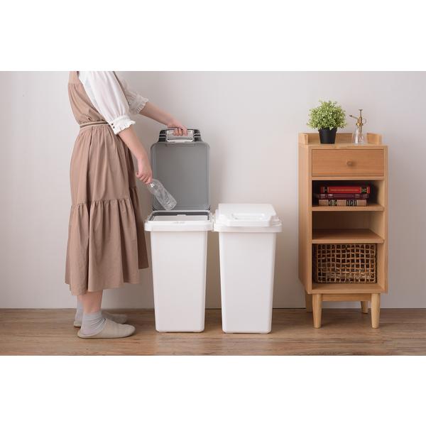 ダストボックス 抗菌ペール　防臭　45JS RSD-75WH |  | 02