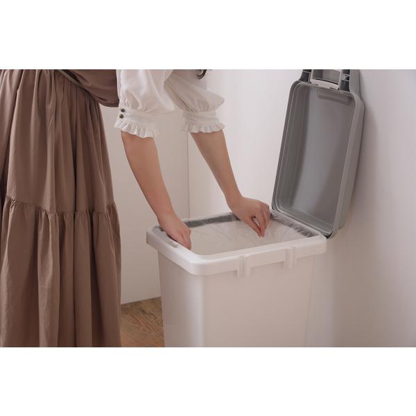 ダストボックス 抗菌ペール　防臭　45JS RSD-75WH |  | 03