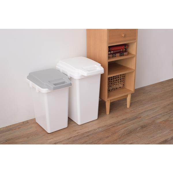 ダストボックス 抗菌ペール　防臭　45JS RSD-75WH |  | 04