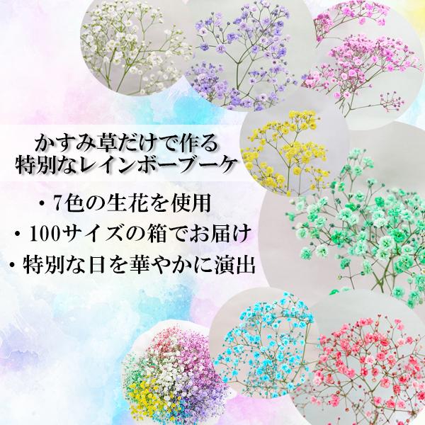 7色 レインボー カスミソウ ブーケ 送料無料 花束 プレゼント 生花 女性 誕生日 記念日 虹の橋 かすみ草 カスミ草 お供え 送別 卒業祝い 父の日 父 Rainbowkasumi 花ことばヤフー店 通販 Yahoo ショッピング