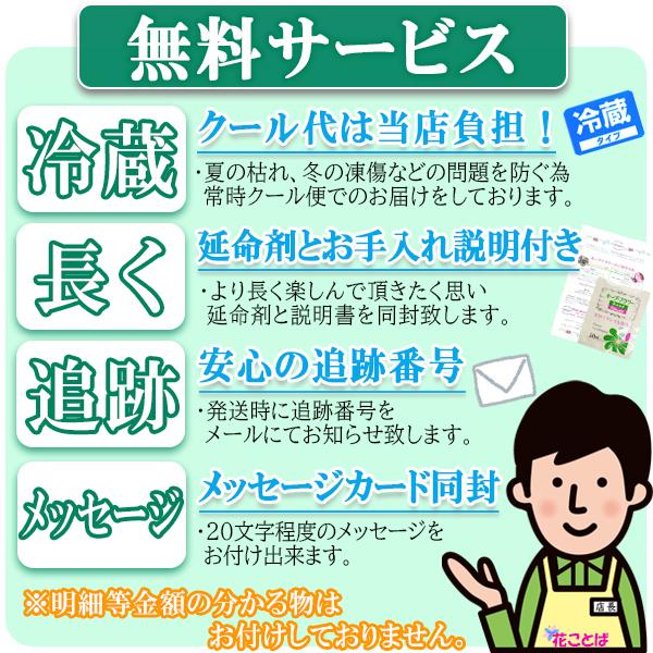 [7色 レインボー カスミソウ ブーケ] 送料無料 花束 プレゼント 生花 女性 誕生日 記念日 虹の橋 かすみ草 カスミ草 お供え 送別 結婚祝い 退職 送別｜fshanakotoba｜08