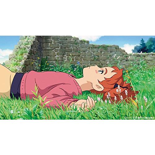 スタジオジブリ メアリと魔女の花 ブルーレイ デジタルコピー付き