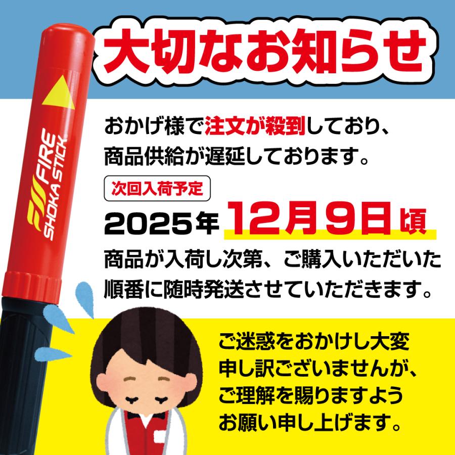 FIRE SHOKA STICK(ファイヤーショーカスティック)50秒 次世代の消火