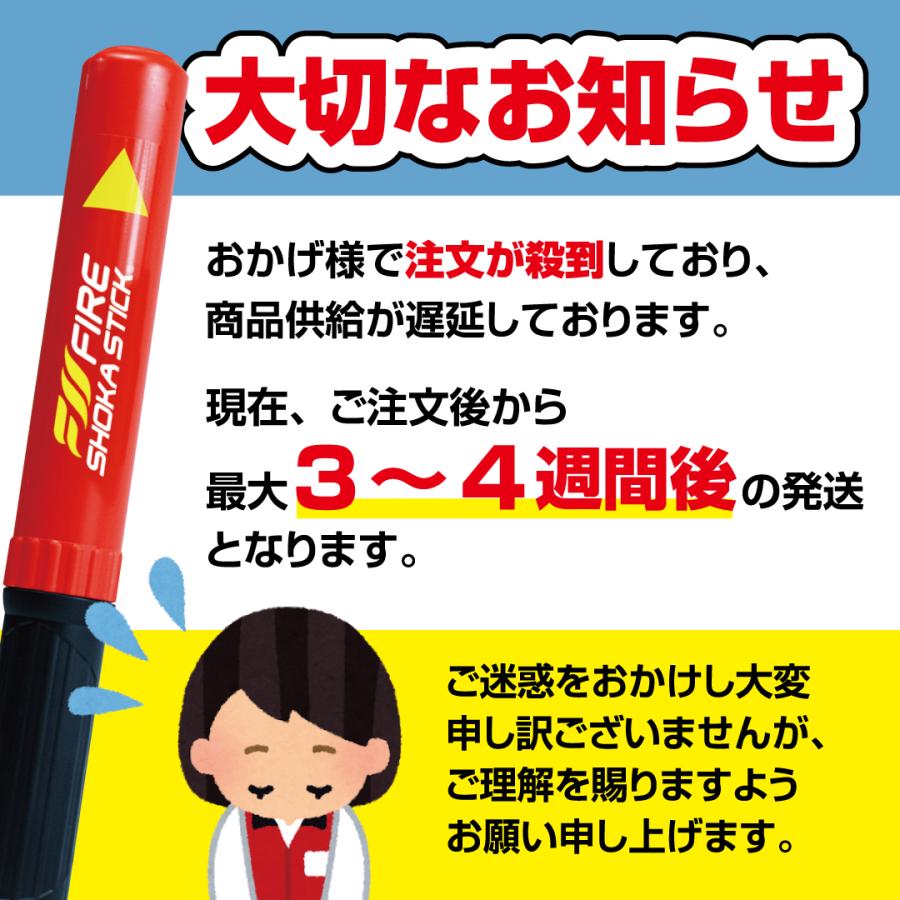 FIRE SHOKA STICK(ファイヤーショーカスティック)50秒 次世代の消火